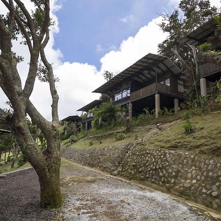 Bajos del Toro Hotel Alto Palomo מראה חיצוני תמונה