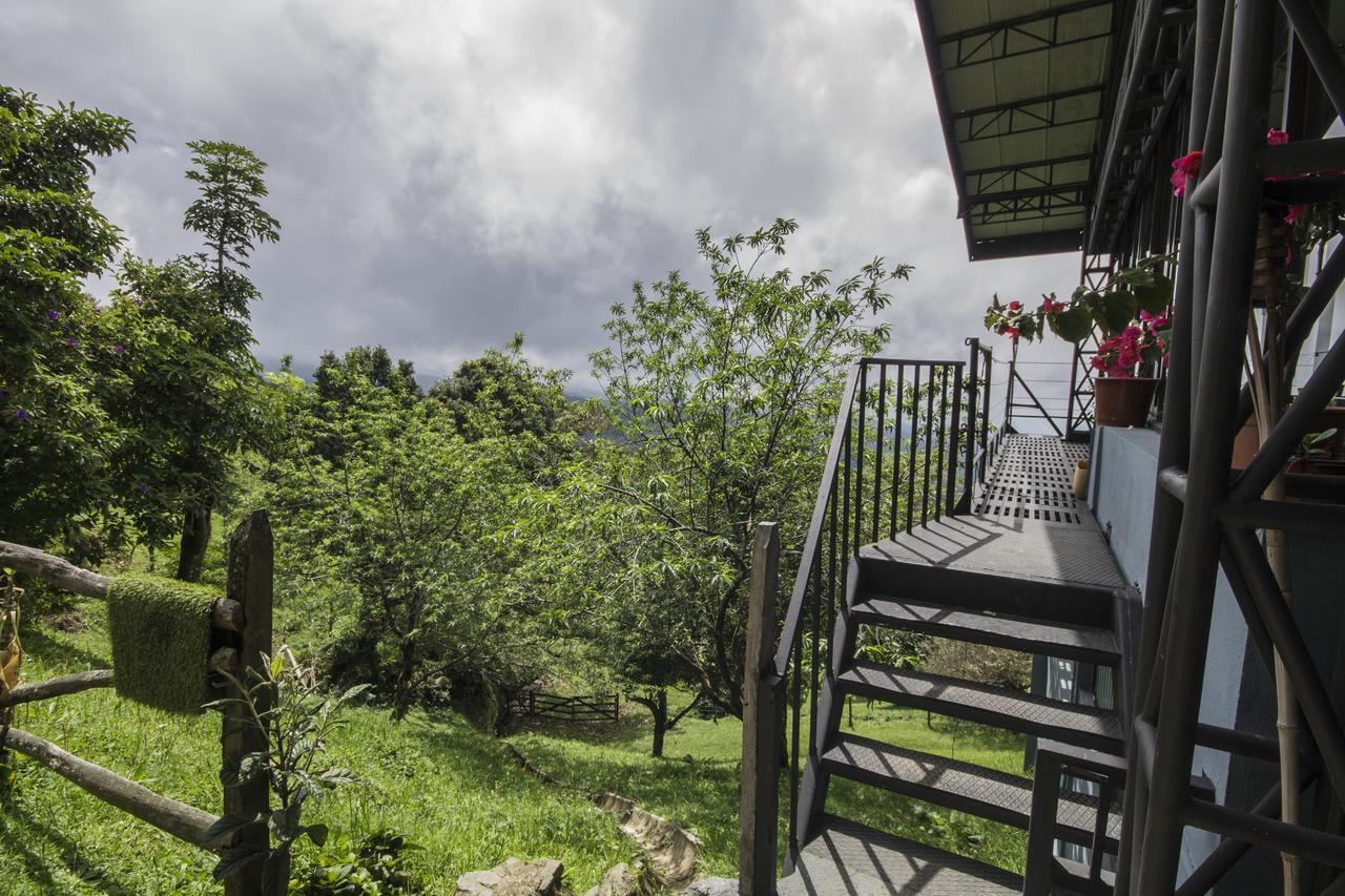 Bajos del Toro Hotel Alto Palomo מראה חיצוני תמונה