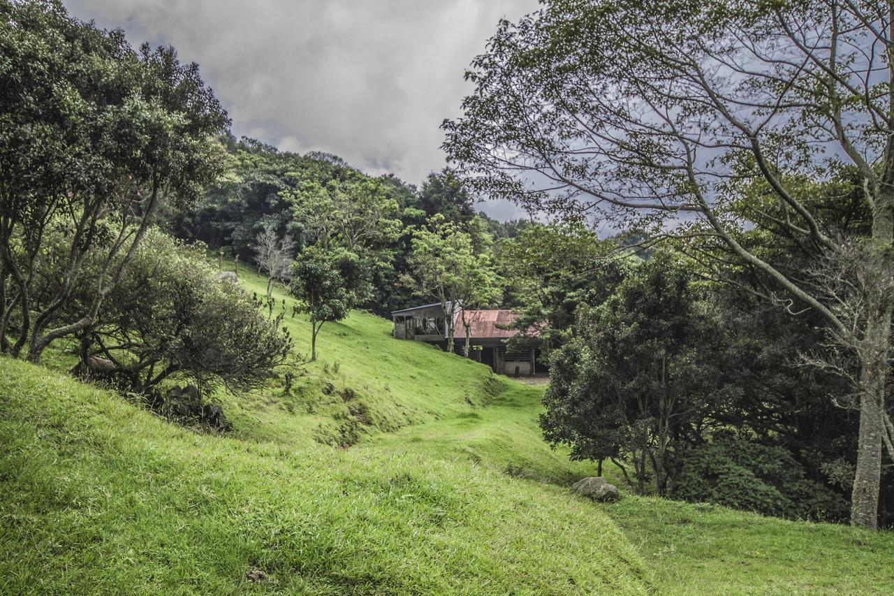 Bajos del Toro Hotel Alto Palomo מראה חיצוני תמונה